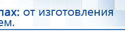 Электрод Скэнар - лицевой двойной Пешки купить в Батайске, Электроды Скэнар купить в Батайске, Скэнар официальный сайт - denasvertebra.ru